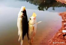 立冬之后，如何钓鱼才能避免放炮？