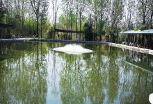 钓友想靠钓场致富！一年后负债累累，可谓竹篮打水一场空