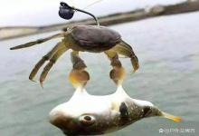 火烧“屁股”舍不得离开，钓友：我正连杆呢！命没钓鱼重要？