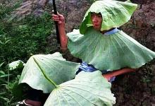 汽车冲入水塘，车顶钓鱼等救援！钓友：啥事都不如钓鱼重要