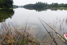 女老板让我教她钓鱼，穿成这样来水边，确定是来学钓鱼的吗？