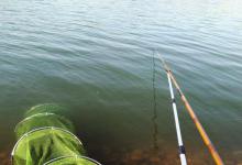 钓不好鲢鳙鱼，那就看看这些垂钓心得，对钓鱼帮助很大