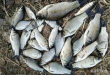 冬季野钓，找鱼窝的4个基本规律，天冷鱼不动，找到鱼窝再下竿