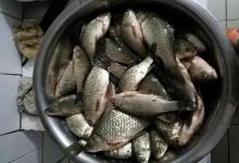 冬钓鲫鱼，做好这7个调整，到哪都会比别人钓得多