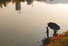 切记别跟钓鱼人恶作剧，男子晚上扮野猪恶搞朋友，结果缝了几针