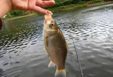 野钓鲫鱼，浮漂调几目钓几目合适？调平水钓两目真的好用吗？