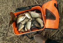 钓鱼技巧：野钓选择钓位很重要，不同季节鱼都藏在这些地方