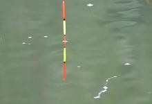 野钓鲫鱼，三种常用的调漂方法