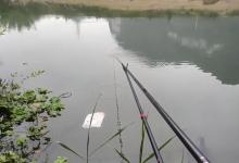 伊势尼和伊豆鱼钩，哪一个才是野钓王者？不知道定位很容易选错