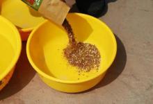 风油精能钓到鱼？老钓友亲自测试，所谓的钓鱼“神饵”都是骗人的