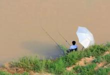 钓鱼是先下竿，还是先打窝？有很多新手搞混了顺序