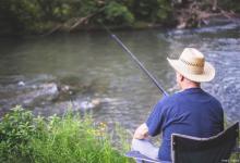 垂钓青鱼最有效的饵料