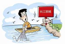 长江钓鱼新规定2021