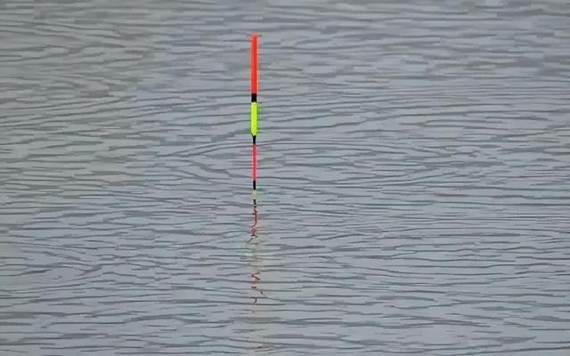 用玉米钓鱼,钓触底好还是躺底好?这篇文章来告诉你答案!