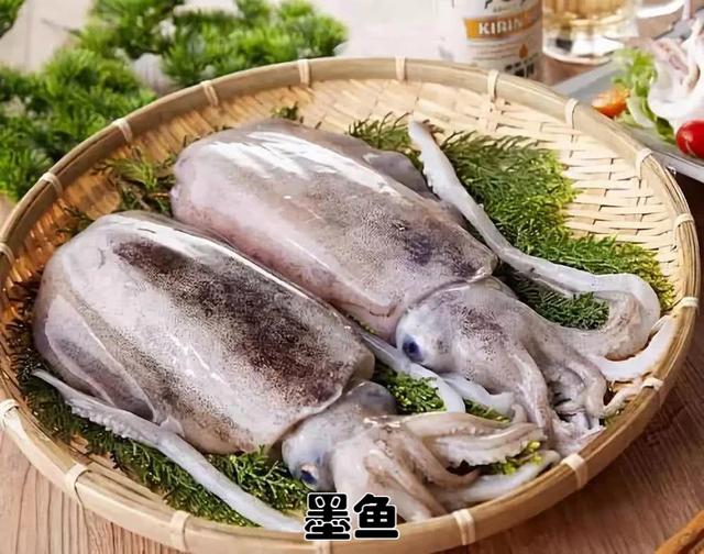 墨鱼和鱿鱼的区别,解密海洋美食:墨鱼与鱿鱼,究竟有何差异?