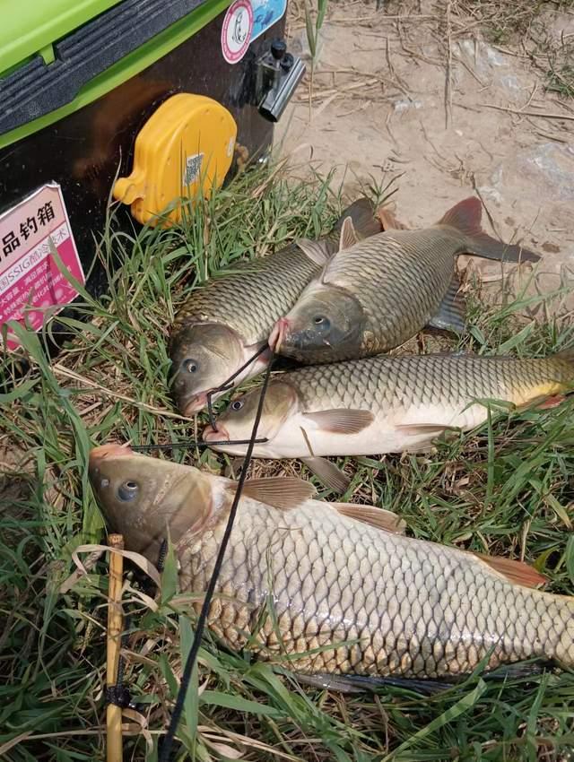 野钓过程中想多了的几件事情,少花钱不费事儿还多钓鱼!