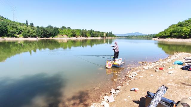 别听别人忽悠了!加藿香正气水钓鱼没有效果,甚至还起反作用