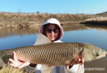 钓草鱼的4个知识点，干货满满的钓草鱼方法