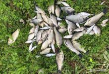 江河野钓鲫鱼，如何选择钓位？找这些绝佳地形，不愁钓不到鱼