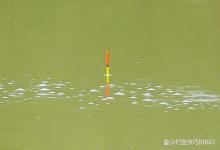 窝子里一直冒泡却没口怎么办？4个绝招搞定