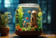 鱼友经验分享：哪种鱼缸比较好？