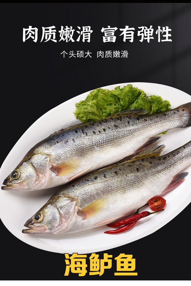 海鲈鱼和淡水鲈鱼区别,一场"鲈"斗,带你领略"鱼"生百态!