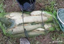 野钓找到鱼窝的4个步骤，在鱼扎堆的地方下竿，想不爆护都难