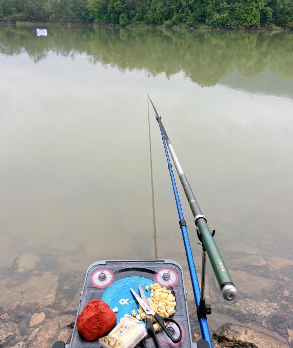 夏天到,草鱼该咬钩了,野钓草鱼打窝是关键