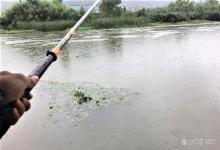 夏季降雨水浑浊如何钓鱼？注意这几方面的细节，大鱼连竿拉不停