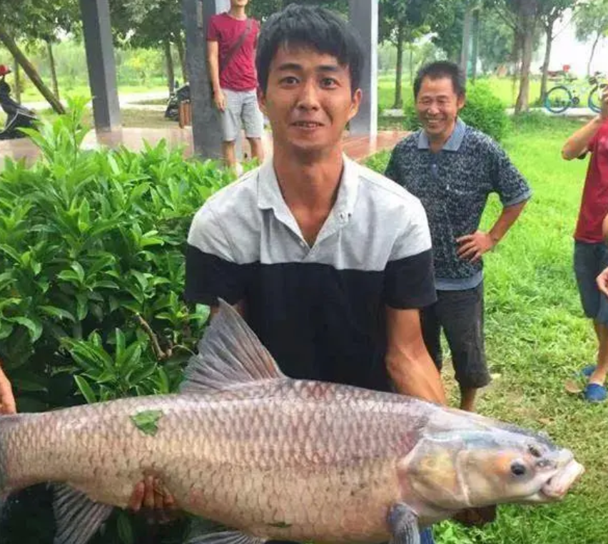 个人记录钓点|江河|鲫鱼|鲤鱼|草鱼|青鱼|罗非鱼|免费钓点|广东省广州市增城区荔湖街道荔湖湿地-长春亭增城人工沙滩的周边