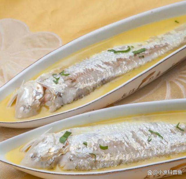 长江第一鲜野生刀鱼8000元一斤抢着买,养殖400元一斤没人要?