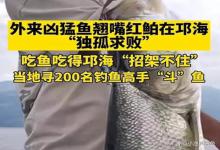 征集400名钓鱼人，收120万钓费，四川邛海只是为了钓捕翘嘴鱼？