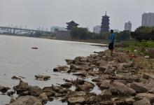 钓鱼，看起来枯燥无味的活动，怎么成了中年男人的白月光？