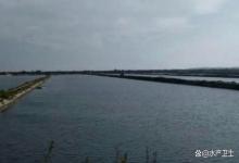 海参池改底后换水可以吗？养海参底质改良剂有哪些？注意后续管理