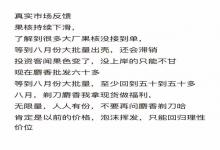 蛋龟圈又出大事件，这波利好消息汹涌而至？