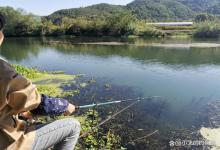 浮钓鲫鱼怎么钓？一旦捅破这层窗户纸，新手也能轻松学会