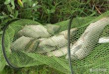 秋季野钓大鱼，这4种位置是鱼道，连竿上鱼很轻松