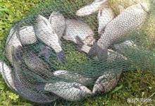 仲秋野钓鲫鱼，应该用这2种钓法了，长竿才是钓鱼利器