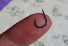 让人又爱又恨的“伊势尼”，究竟该如何驾驭它？