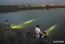 夜钓最佳时段来了，鱼多靠岸容易连杆，攻略分享