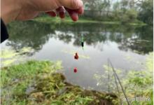 天气寒冷钓鱼，这几款饵料效果极佳，单独使用也能钓到大鲫鱼！