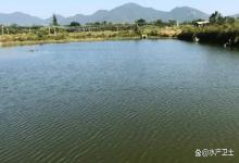 鱼塘怎么改底？鱼塘改底的作用？养鱼的要知道