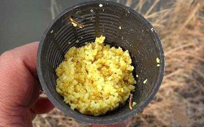 野钓怎么打窝诱鱼快？两个关键，一是选好窝料，二是选对钓点！