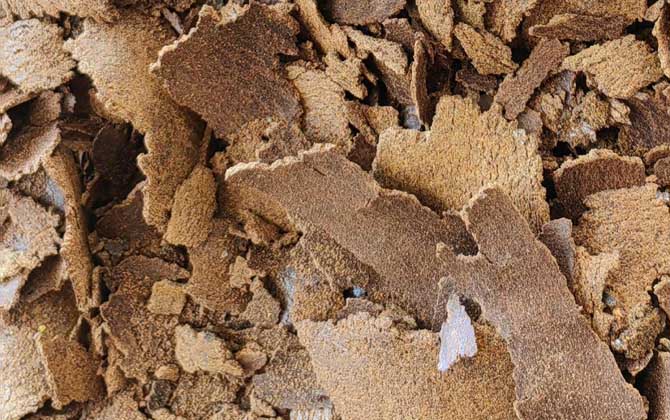 野钓用什么窝料好？野钓用这6种窝料打窝，窝子里全是大鱼！