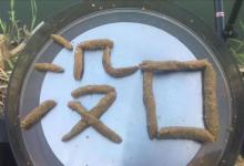 如何钓滑口鱼？滑口鱼终结者：三招破解狡猾鱼群的摄食密码！