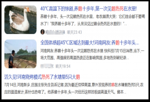 热！广西鱼塘上万鲈鱼翻塘死掉，网友热议的“臭鱼”救场靠谱吗？