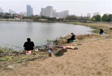 水里有鱼不咬钩？这些问题不解决，很难再钓到鱼