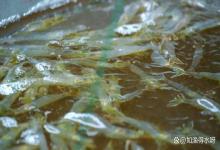 对虾亚硝酸盐高可以用生石灰吗？虾塘高温天怎么用生石灰降亚盐？