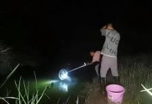 夜钓三黄金时辰！老钓友分享“偷鱼时刻表”，渔获减半！