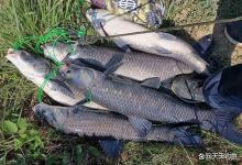 秋季野钓大鱼，3个步骤选钓位，必能找到藏身地